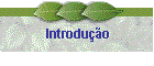 Introdu��o