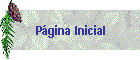P�gina Inicial