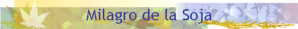 Milagre da Soja