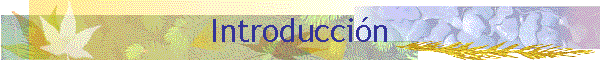 Introducci�n
