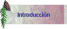 Introducci�n